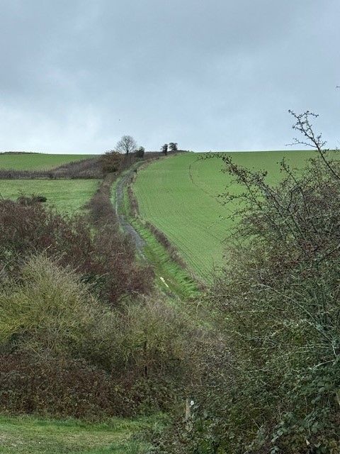 Steady Climb Up to Findon